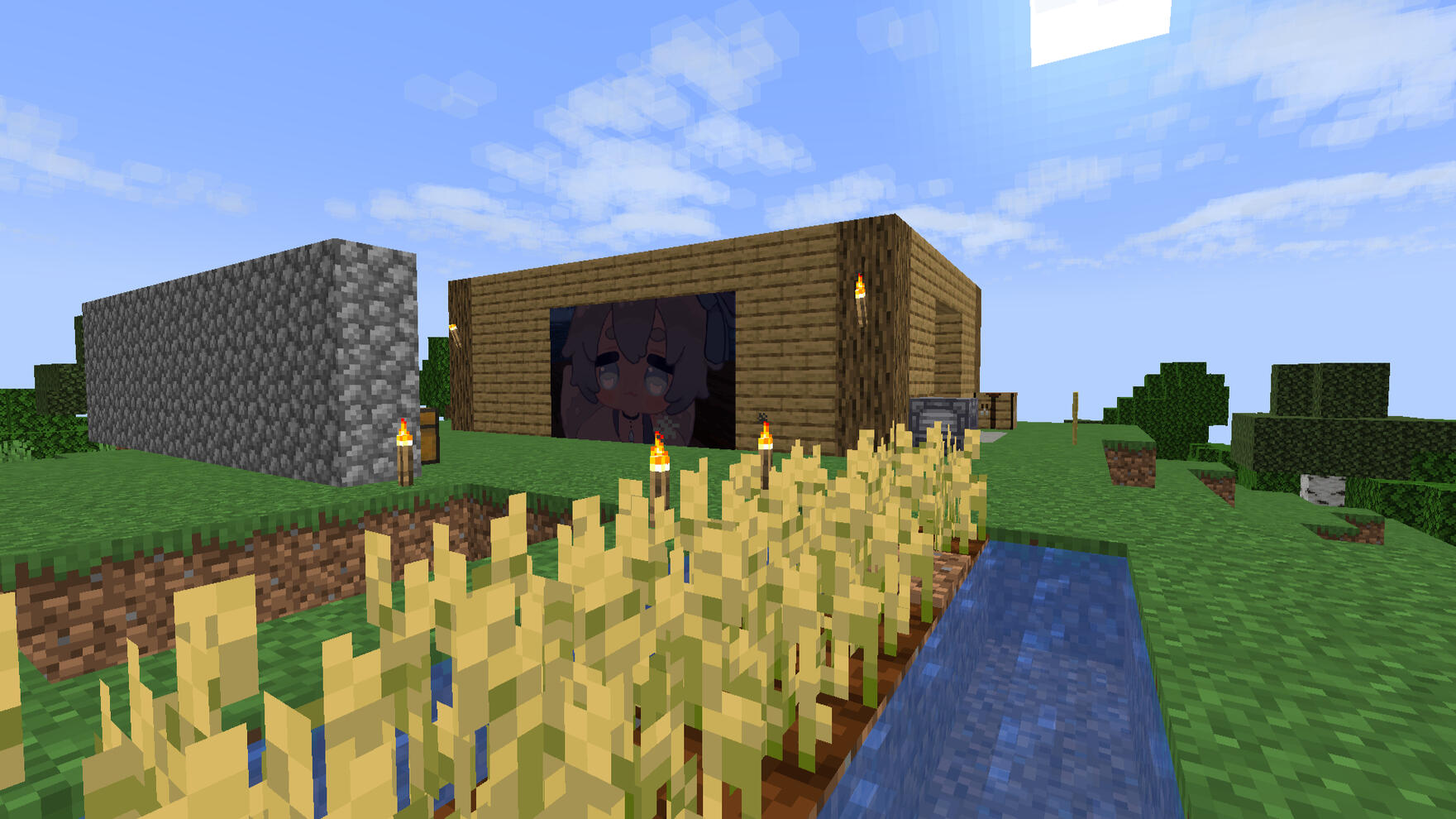 Casa de Jc y NotRandomMC